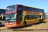 Rutas Argentinas 290 na cidade de Barretos, São Paulo, Brasil, por Ricardo Novo de Magalhaes. Número da foto: #12820983.