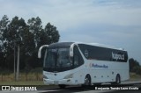 Pullman Bus 299 na cidade de San Antonio, San Antonio, Valparaíso, Chile, por Benjamín Tomás Lazo Acuña. Número da foto: #12822816.