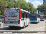 Borborema Imperial Transportes 908 na cidade de Recife, Pernambuco, Brasil, por Glauber Medeiros. Número da foto: #:id.