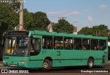 Transporte Coletivo Glória BB498 na cidade de Curitiba, Paraná, Brasil, por Busologia Gabrielística. Número da foto: #12820515.