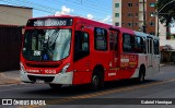 Empresa São Gonçalo 10313 na cidade de Contagem, Minas Gerais, Brasil, por Gabriel Henrique. Número da foto: #12823979.
