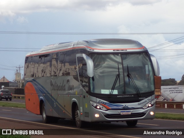 Italianinha Tour 2333 na cidade de Cascavel, Paraná, Brasil, por Alexandre Rodrigo. Número da foto: #12826545.