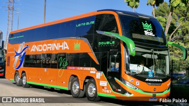 Empresa de Transportes Andorinha 7067 na cidade de São Paulo, São Paulo, Brasil, por Fábio Paixão. Número da foto: #12825810.