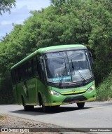 Setelagoano 12119 na cidade de Prudente de Morais, Minas Gerais, Brasil, por Bruno Guimarães. Número da foto: #12825438.
