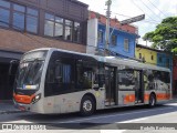 TRANSPPASS - Transporte de Passageiros 8 0373 na cidade de São Paulo, São Paulo, Brasil, por Rodolfo Rodrigues. Número da foto: #:id.