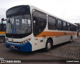 Águia Dourada 2065 na cidade de Itaporanga d`Ajuda, Sergipe, Brasil, por Gabriell Santos. Número da foto: #:id.