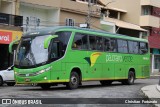 Pássaro Verde 11093 na cidade de Coimbra, Minas Gerais, Brasil, por Christian  Fortunato. Número da foto: #:id.
