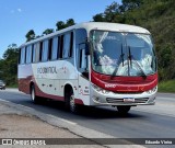 Rouxinol 1840 na cidade de Conselheiro Lafaiete, Minas Gerais, Brasil, por Eduardo Vieira. Número da foto: #:id.