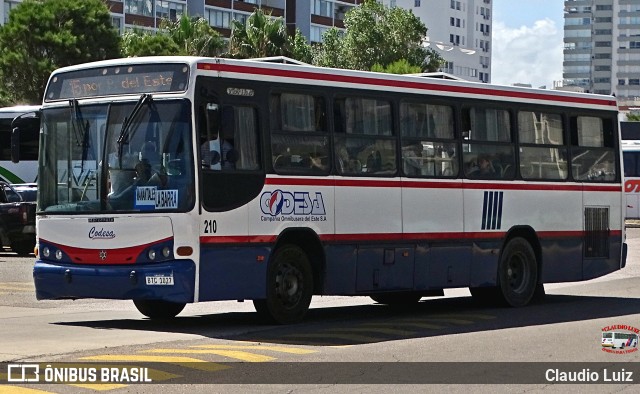 CODESA - Compañia Omnibuseira del Este 210 na cidade de Punta del Este, Maldonado, Uruguai, por Claudio Luiz. Número da foto: #12829544.