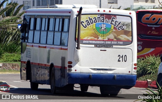 CODESA - Compañia Omnibuseira del Este 210 na cidade de Punta del Este, Maldonado, Uruguai, por Claudio Luiz. Número da foto: #12829546.