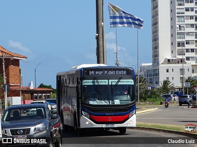 CODESA - Compañia Omnibuseira del Este 309 na cidade de Punta del Este, Maldonado, Uruguai, por Claudio Luiz. Número da foto: #12829528.