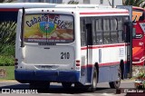 CODESA - Compañia Omnibuseira del Este 210 na cidade de Punta del Este, Maldonado, Uruguai, por Claudio Luiz. Número da foto: #12829548.