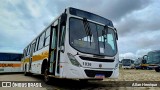 Terra Auto Viação 1036 na cidade de Paulínia, São Paulo, Brasil, por Allan Henrique. Número da foto: #12827808.