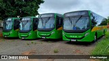 Transportes Capellini 12351 na cidade de Paulínia, São Paulo, Brasil, por Allan Henrique. Número da foto: #12827807.