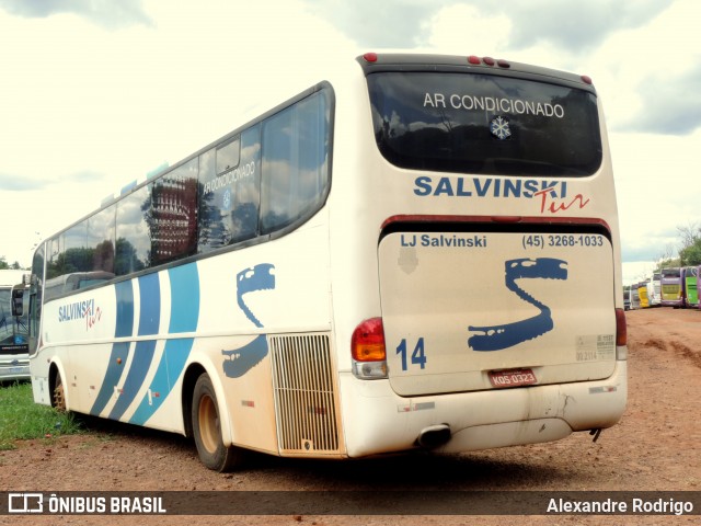 Salvinski Tur 14 na cidade de Cascavel, Paraná, Brasil, por Alexandre Rodrigo. Número da foto: #12830645.