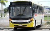 Viação Araguarina 3195 na cidade de Goiânia, Goiás, Brasil, por Carlos Júnior. Número da foto: #12832059.