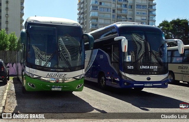 Nuñez 233 na cidade de Punta del Este, Maldonado, Uruguai, por Claudio Luiz. Número da foto: #12834288.