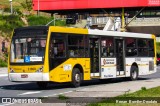 VIP - Unidade Itaim Paulista 3 1860 na cidade de São Paulo, São Paulo, Brasil, por Renan  Bomfim Deodato. Número da foto: #12832546.