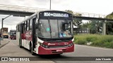 Auto Viação Palmares D17134 na cidade de Rio de Janeiro, Rio de Janeiro, Brasil, por João Vicente. Número da foto: #:id.