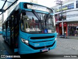 FAOL - Friburgo Auto Ônibus 594 na cidade de Nova Friburgo, Rio de Janeiro, Brasil, por Ademar Taveira. Número da foto: #12835871.