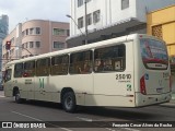 Viação Tamandaré 25010 na cidade de Curitiba, Paraná, Brasil, por Fernando Cesar Alves da Rocha. Número da foto: #12834592.