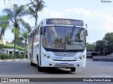 American Vans Transportes e Turismo 1109 na cidade de Porto Feliz, São Paulo, Brasil, por Weslley Kelvin Batista. Número da foto: #:id.