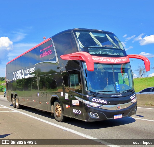 Cobra Viagens e Turismo 1000 na cidade de Caçapava, São Paulo, Brasil, por odair lopes. Número da foto: #12839163.
