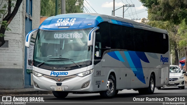 Pegasso 55202 na cidade de Gustavo A. Madero, Ciudad de México, México, por Omar Ramírez Thor2102. Número da foto: #12839464.