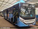 HP Transportes Coletivos 20.652 na cidade de Goiânia, Goiás, Brasil, por Vicente Barbosa. Número da foto: #12837487.