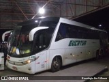 Eucatur - Empresa União Cascavel de Transportes e Turismo 4739 na cidade de Vilhena, Rondônia, Brasil, por Busologia Em Vilhena. Número da foto: #12837965.