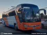 Pullman Lago Peñuelas LPLB21 na cidade de El Tabo, San Antonio, Valparaíso, Chile, por Benjamín Tomás Lazo Acuña. Número da foto: #12839868.