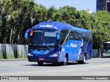 Princesa do Norte 43436 na cidade de Curitiba, Paraná, Brasil, por Paulobuss  Guaratuba. Número da foto: #:id.