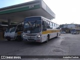 Smile Transportes e Turismo 264 na cidade de Paraibuna, São Paulo, Brasil, por Andarilho Paulista. Número da foto: #12837228.