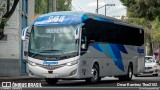 Pegasso 55202 na cidade de Gustavo A. Madero, Ciudad de México, México, por Omar Ramírez Thor2102. Número da foto: #12839464.