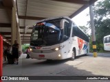Viação Teresópolis RJ 203.019 na cidade de Teresópolis, Rio de Janeiro, Brasil, por Andarilho Paulista. Número da foto: #12839034.