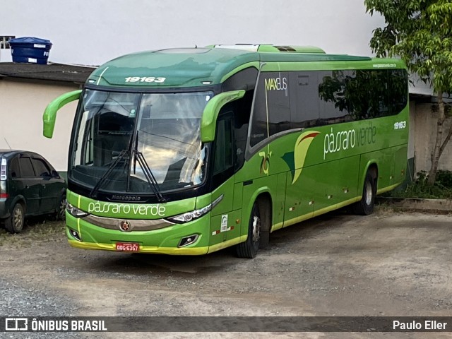 Pássaro Verde 19163 na cidade de Manhumirim, Minas Gerais, Brasil, por Paulo Eller. Número da foto: #12840924.