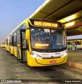 Viação Pioneira 226165 na cidade de Brasília, Distrito Federal, Brasil, por Kayron Gonçalves. Número da foto: #12840581.