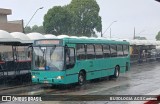 Transporte Coletivo Glória BB498 na cidade de Curitiba, Paraná, Brasil, por BUSOLOGIA ACS Caetano. Número da foto: #:id.