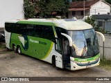 Pássaro Verde 11101 na cidade de Manhumirim, Minas Gerais, Brasil, por Paulo Eller. Número da foto: #12840928.