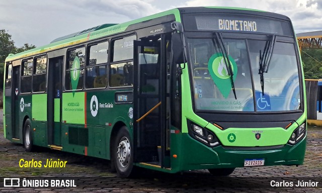 COOTEGO - Cooperativa de Transportes do Estado de Goiás 0000 na cidade de Goiânia, Goiás, Brasil, por Carlos Júnior. Número da foto: #12844364.
