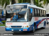 Brubuss Transportes 100 na cidade de Barueri, São Paulo, Brasil, por Wellington de Jesus Santos. Número da foto: #12844699.