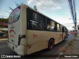 Lince 34 na cidade de Asunción, Paraguai, por Eduardo Dodero. Número da foto: #12843410.