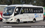 Mascarello  na cidade de Curitiba, Paraná, Brasil, por Juarez Miguel Duarte Junior. Número da foto: #12844014.