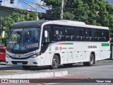 Borborema Imperial Transportes 450 na cidade de Jaboatão dos Guararapes, Pernambuco, Brasil, por Totupe Jorge. Número da foto: #:id.