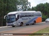 Italianinha Tour 2332 na cidade de Matelândia, Paraná, Brasil, por Felipe  Dn. Número da foto: #12844770.