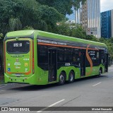 TRANSPPASS - Transporte de Passageiros 8 0234 na cidade de São Paulo, São Paulo, Brasil, por Michel Nowacki. Número da foto: #12844609.
