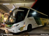 Empresa Gontijo de Transportes 18310 na cidade de São Sebastião da Bela Vista, Minas Gerais, Brasil, por Eduardo Vieira. Número da foto: #12842822.