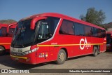 Buses JM 1312 na cidade de Los Andes, Los Andes, Valparaíso, Chile, por Sebastián Ignacio Alvarado Herrera. Número da foto: #12845931.