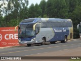 Italianinha Tour 1470 na cidade de Matelândia, Paraná, Brasil, por Felipe  Dn. Número da foto: #12846124.