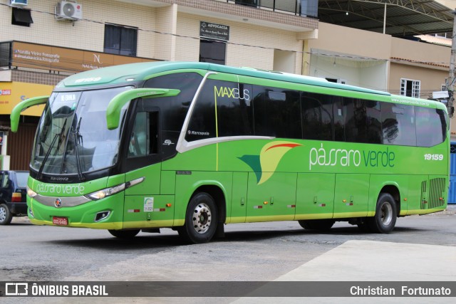 Pássaro Verde 19159 na cidade de Coimbra, Minas Gerais, Brasil, por Christian  Fortunato. Número da foto: #12846448.